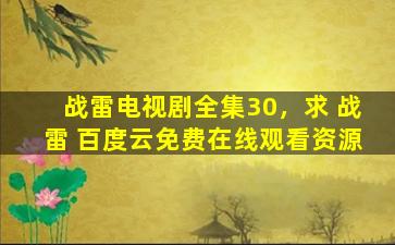 战雷电视剧全集30，求 战雷 百度云*资源